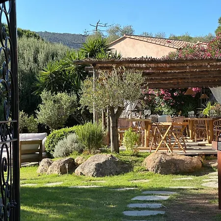 Palombaggia Porto-Vecchio (Corsica)